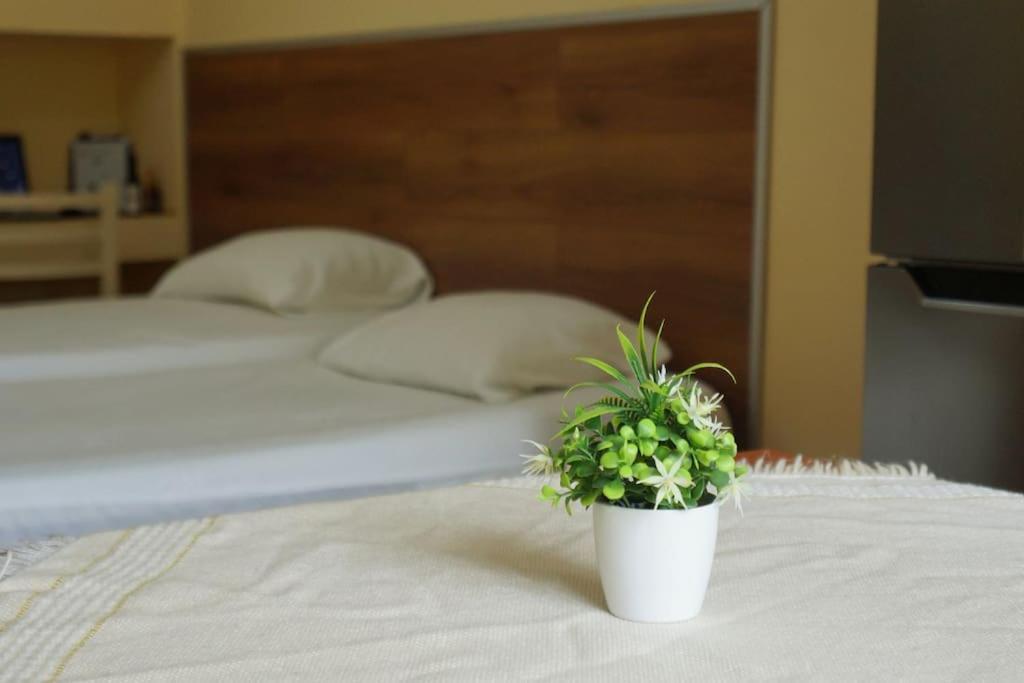 Alle'S M Shyri Studio Apartment Tirana Exteriör bild