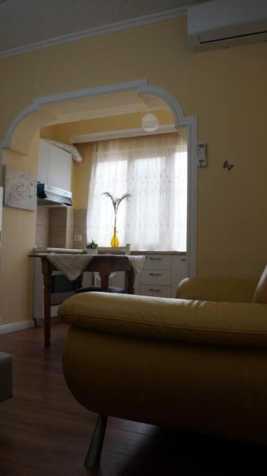 Alle'S M Shyri Studio Apartment Tirana Exteriör bild